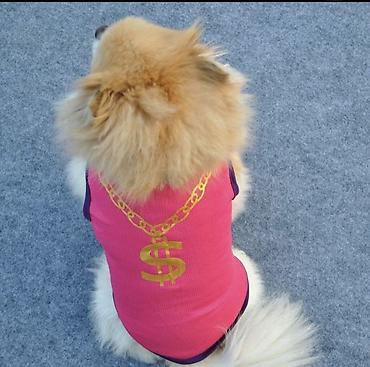 Зоотовары: Одежда для кошек и собак. Все НОВОЕ РАЗМЕР И ЦЕНА УКАЗАНЫ НА ФОТО — 15