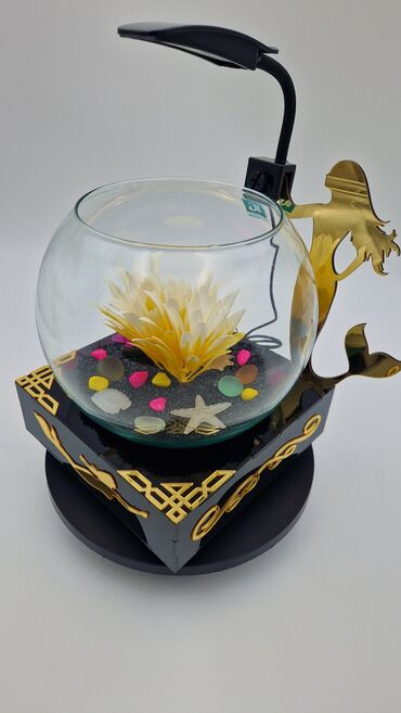 Akvariumlar: Yumru akvarium, Balıqlarla birlikdə, 3 l, Pulsuz çatdırılma — 5