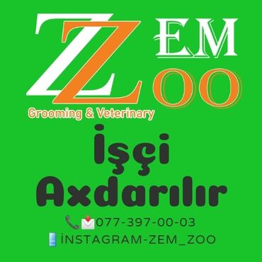 iş elanları azerbaycan: *ZooMagaza :* ZemZoo *İŞ HAQQINDA MƏLUMAT :* Zoo Magazaya Satici