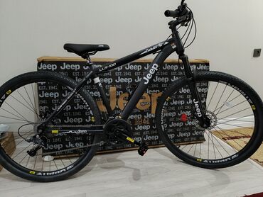 Велосипеды: Горный велосипед, Рама L (172 - 185 см), Сталь, Новый