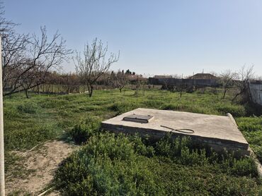 Həyət evləri və villaların satışı: 3 otaqlı, 170 kv. m, Orta təmir — 25