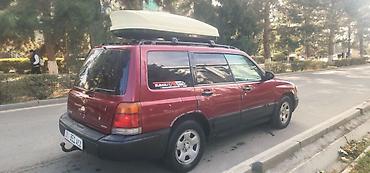 куплю продаж: Subaru Forester: 1999 г., 2.5 л, Автомат, Газ, Универсал — 4