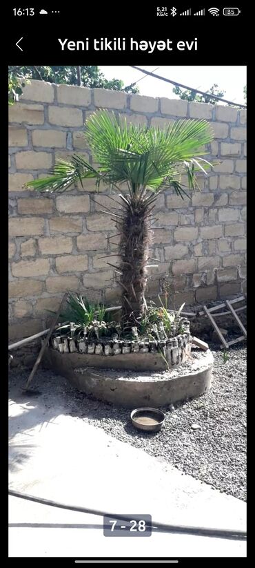 Uzunmüddətli kirayə evlər: 120 kv. m, 3 otaqlı, Artezian quyusu, İnternet, Qaz — 5