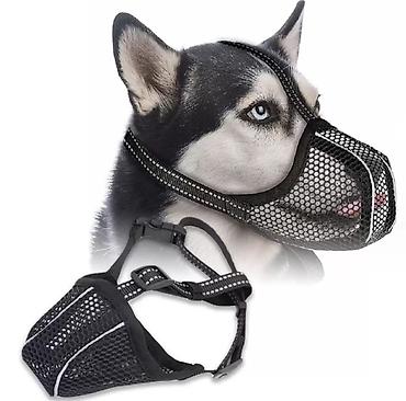 Продажа собак: ПРОДАЮ ОШЕЙНИКИ,ШЛЕЙКИ ДЛЯ МЕЛКИХ,СРЕДНИХ И КРУПНЫХ СОБАК.А ТАК ЖЕ — 8