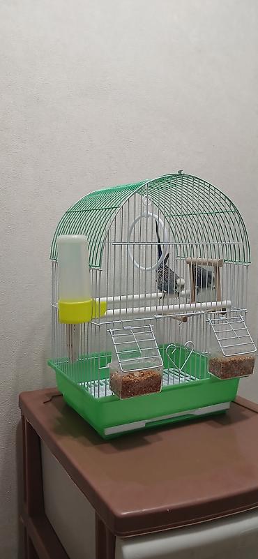 Зоотовары: Клетка для мелких и средних декоративных птиц (волнистые попугаи — 6