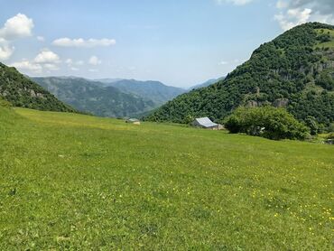 Torpaq sahələrinin satışı: 50 sot, Mülkiyyətçi, Kupça (Çıxarış) — 7