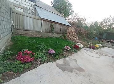 жал село: Дом с участком - Одноэтажный современный дом прямоугольной планировки — 4