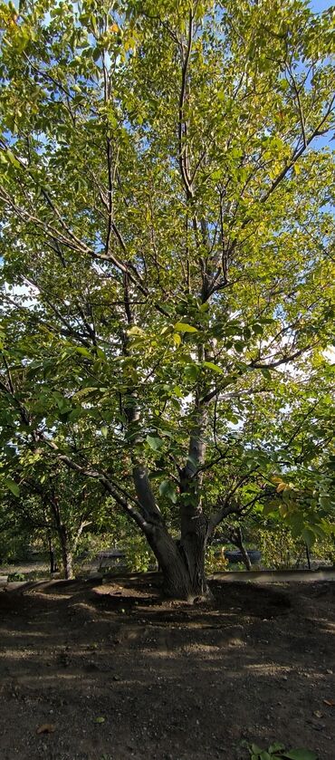 Продажа участков: 10 соток — 16