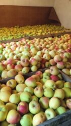 снимать частный дом: Айыл чарба үчүн