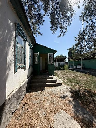 Продажа коттеджей и домов: 4 комнаты, 58 м², 29 соток, Петровка, Риэлтор — 15