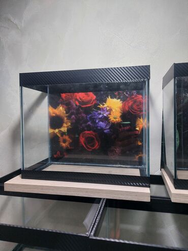 Akvariumlar: Şüşə akvarium – dekorativ fonlu modellər ölçü 30×25×15 Məhsul təsviri — 16