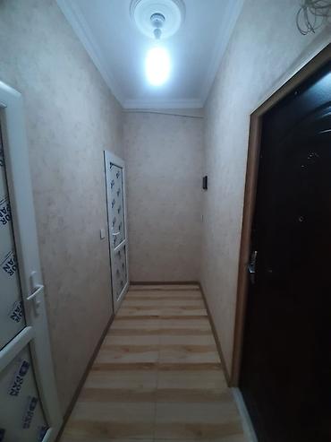 Mənzillər: 1 otaqlı mənzil – mətbəx və sanitar qovşaqla - Plan: 1 otaq, dəhliz — 3