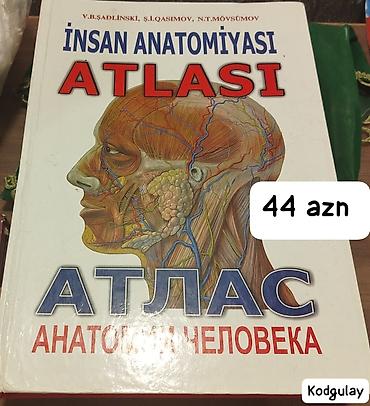 aze: Tədris üçün anatomiya və histologiya kitabları 1) İnsan Anatomiyası — 1