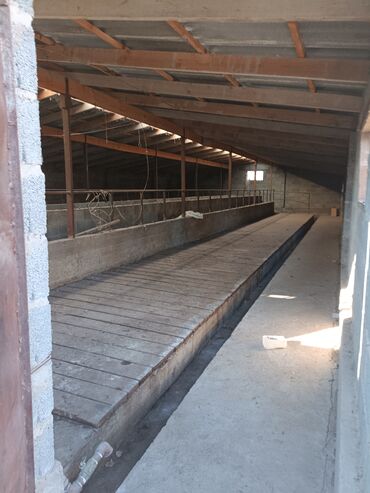 Продажа домов: Дом, 150 м², 5 комнат, Собственник at lalafo.kg — 10 Продажа домов: Дом, 150 м², 5 комнат, Собственник — 10