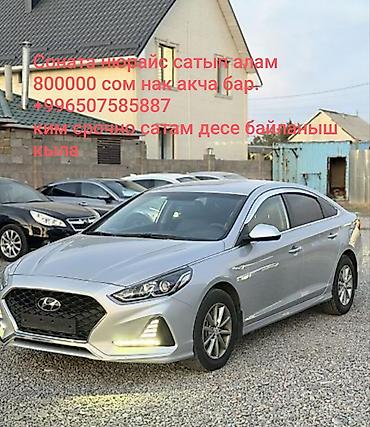 camry 50 xle: Hyundai Sonata: 2019 г., 2 л, Автомат, Газ, Седан — 1