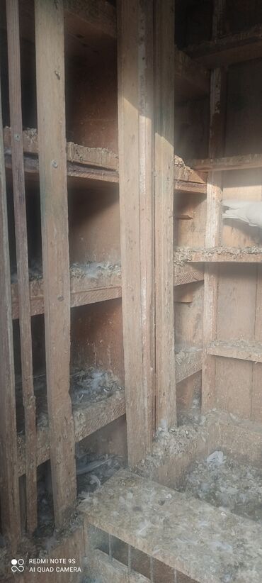 Yuvalar: Quşxana Satlır — 5