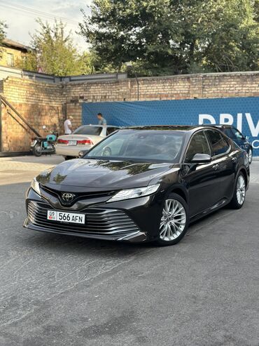 таета витз: Toyota Camry: 2019 г., 2.5 л, Автомат, Бензин, Седан