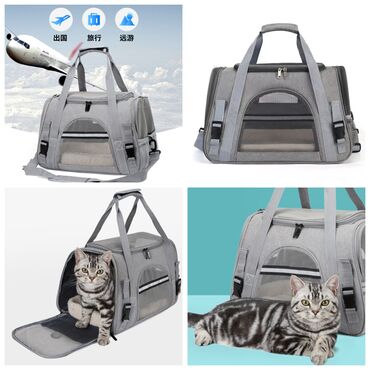 ошейник для кошек: ПРОДАЮ НОВЫЕ СУМКИ ПЕРЕНОСКИ ДЛЯ КОШЕК И СОБАК,ОЧЕНЬ БОЛЬШОЙ ВЫБОР,А