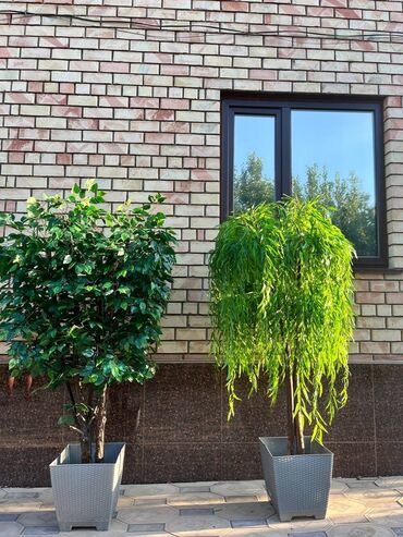 Декоративные цветы: Искусственные деревья и цветы — долговечный и стильный декор без at lalafo.kg — 26 Декоративные цветы: Искусственные деревья и цветы — долговечный и стильный декор без — 26