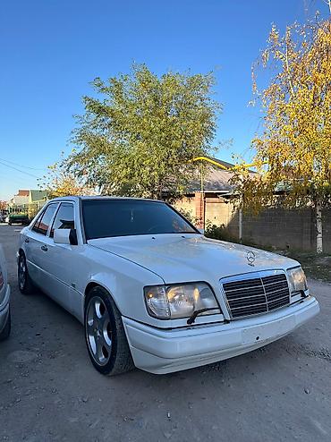 4: Mercedes-Benz W124: 1995 г., 4.2 л, Автомат, Бензин, Седан — 4