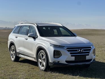 Hyundai: Hyundai Santa Fe: 2018 г., 2 л, Автомат, Бензин, Кроссовер