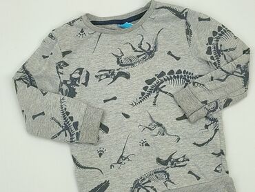 zimowe kurtki chłopięce: Sweatshirt, Little kids, 4-5 years, 104-110 cm, condition - Good