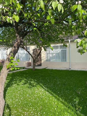 Günlük kirayə evlər: 150 kv. m, 2 otaqlı, Su, Qaz, İnternet -da lalafo.az — 3 Günlük kirayə evlər: 150 kv. m, 2 otaqlı, Su, Qaz, İnternet — 3