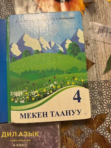 Другие комплектующие: 4-класстардын китеби 200сомдон — 9