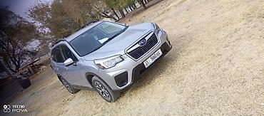 forester 2003: Subaru Forester: 2019 г., 2.5 л, Робот, Бензин, Кроссовер — 2
