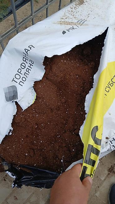 torf satilir: IşTorf gubresinn satişi topdan satş çox sayda alana edirim — 8