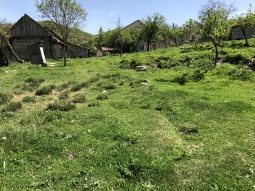 Torpaq sahələrinin satışı: 30 sot, Kənd təsərrüfatı, Mülkiyyətçi, Kupça (Çıxarış) -da lalafo.az — 10 Torpaq sahələrinin satışı: 30 sot, Kənd təsərrüfatı, Mülkiyyətçi, Kupça (Çıxarış) — 10