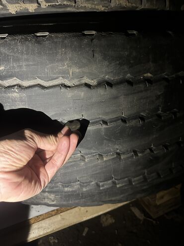 Шины: 385/65/22.5 — 4