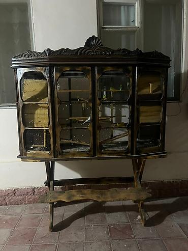 at satisi: Quş üçün qəfəs və altlığı verilir qəfəsin içərisində alt tərəfdə list — 2