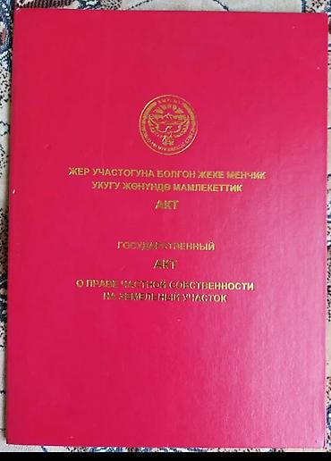 кантейнер 40 т: 400 соток, Бизнес үчүн, Кызыл китеп, Сатып алуу-сатуу келишими — 1
