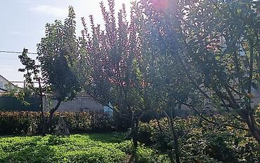 Продажа коттеджей и домов: 🏡 **Продается уютный дом в Бишкеке!** 📍 Район: Ак-Ордо 1 ж/м 🏠 Дом: 2 — 14