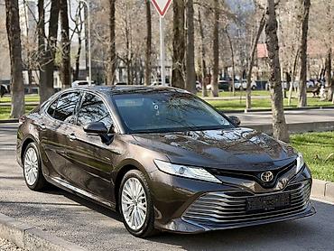 Toyota: Toyota Camry: 2019 г., 2.5 л, Автомат, Бензин, Седан — 1