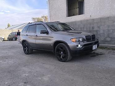 34 е: BMW X5: 2005 г., 4.4 л, Автомат, Бензин — 3