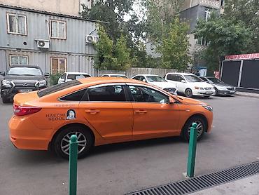 радиальный: Hyundai Sonata: 2018 г., 2 л, Автомат, Бензин, Седан — 4