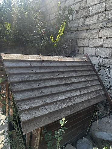 it yuvasi satilir: Salamm itlər çün yuvlar kimm istsə yazsınn 3 dənədi 230 mamatdıı ünvan — 4