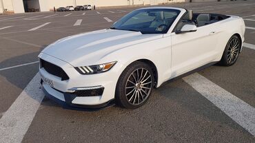 Ford: Ford Mustang: 5 l | Kabriolet — 7