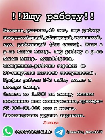 филармонии: Уборщик - Женщина, Без опыта, Полный рабочий день — 1