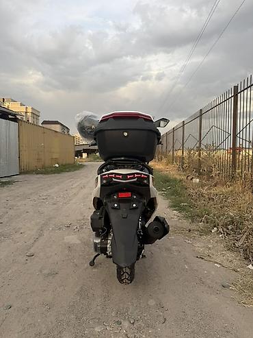 t max: Скутер Макси 0 пробег! Новый! Защиткой - Кузов спортивного стиля — 4