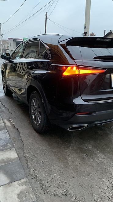 Lexus: Lexus NX: 2019 г., 2 л, Автомат, Бензин, Кроссовер — 10