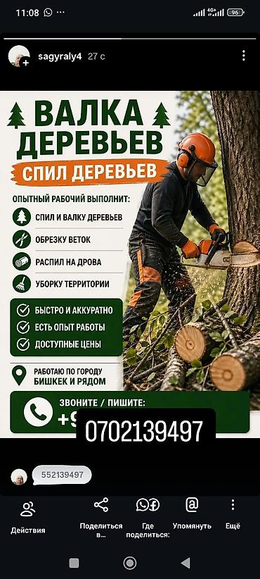 тери ашатуу: Спил по валка и спилу деревьев Профессиональная работа: - спил и — 2