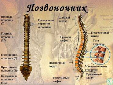 масаж кара балта: Массаж | Дарылоочу | Остеохондроз, Омуртка аралык грыжа, Протрузия | Үйүнө баруу менен, Консультация