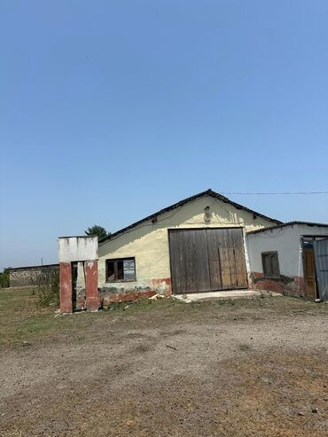 Torpaq sahələrinin satışı: Kənd təsərrüfatı -da lalafo.az — 6 Torpaq sahələrinin satışı: Kənd təsərrüfatı — 6