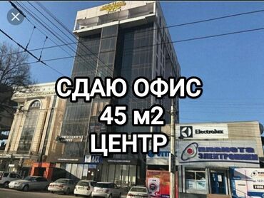 Офисы: Сдаю Офис, 45 м², В бизнес центре, 1 линия