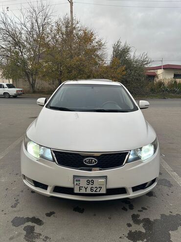 Kia: Kia Cerato: 1.6 l | 2011 il Sedan