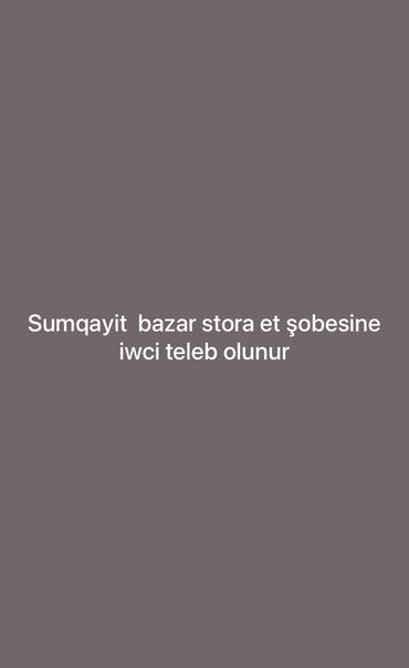 ev işlərinə köməkçi: Makler tələb olunur, Təcrübəsiz, 1/1, Tam iş günü