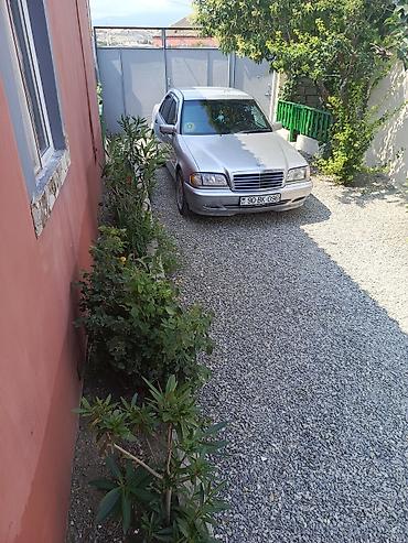 Qonaq otağı dəstləri: -şabranda gülemlide 9 sotda heyetde 2 ev biri 3 otaqlı super remont -da lalafo.az — 41 Qonaq otağı dəstləri: -şabranda gülemlide 9 sotda heyetde 2 ev biri 3 otaqlı super remont — 41